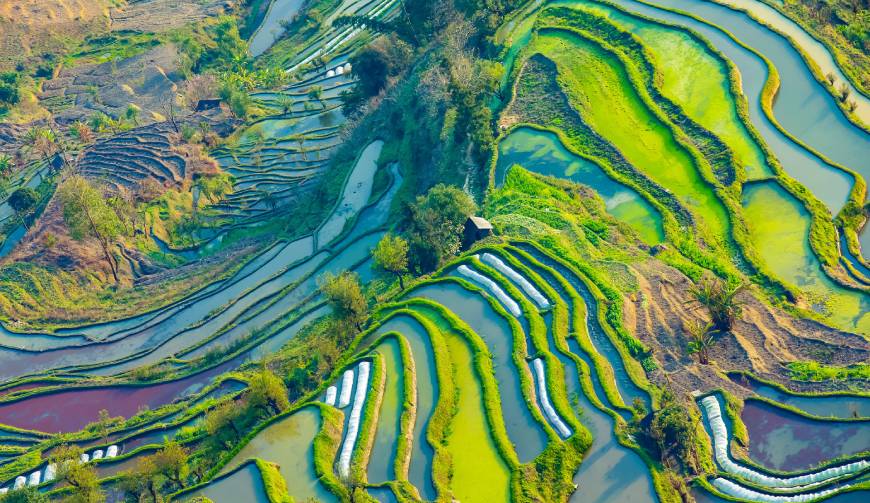 宝妈必备神器：丹棱县产品视频拍摄轻松育儿好帮手