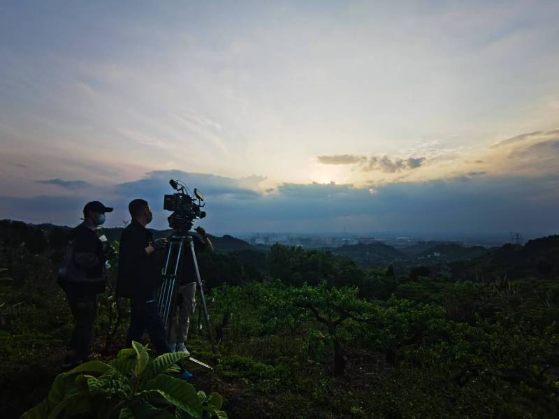 聚焦丹棱县产品宣传视频拍摄公司，用专业实力铸就品牌传播传奇